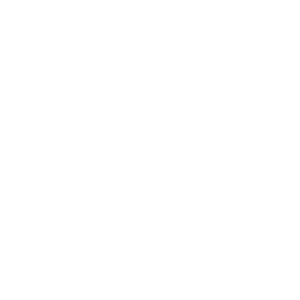 Vels jewelry 